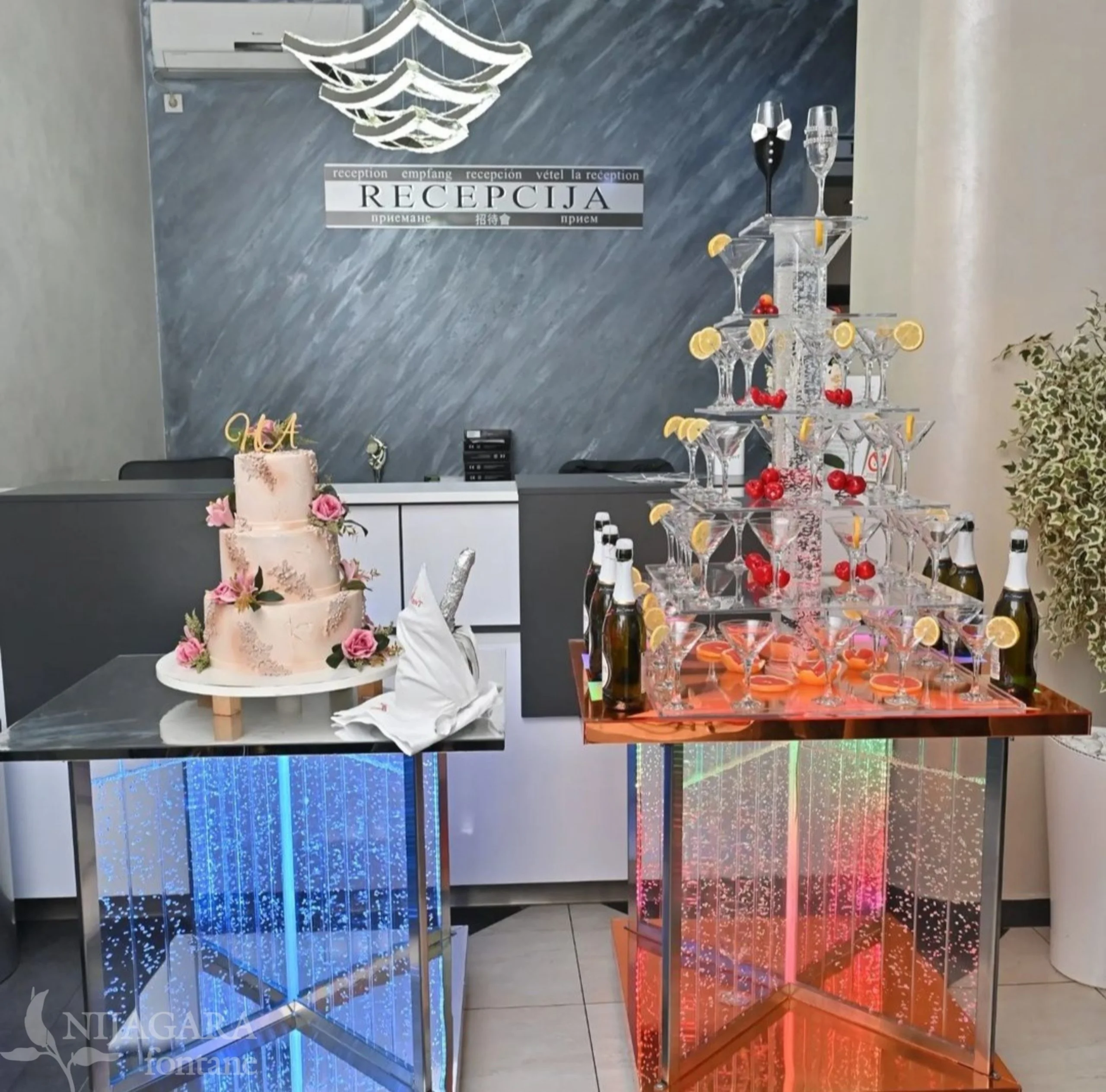 Šampanjac Fontana 8 — image 1